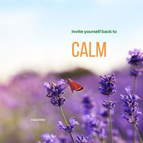 Stay Calm. (It's Good For You).